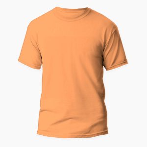 T-Shirt Standard orange